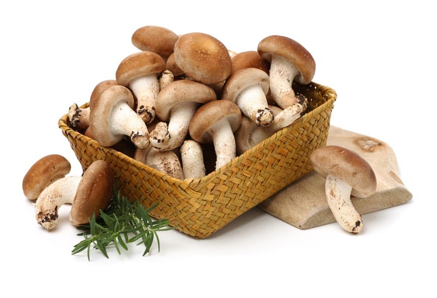 Mehrere Pilze im Korb