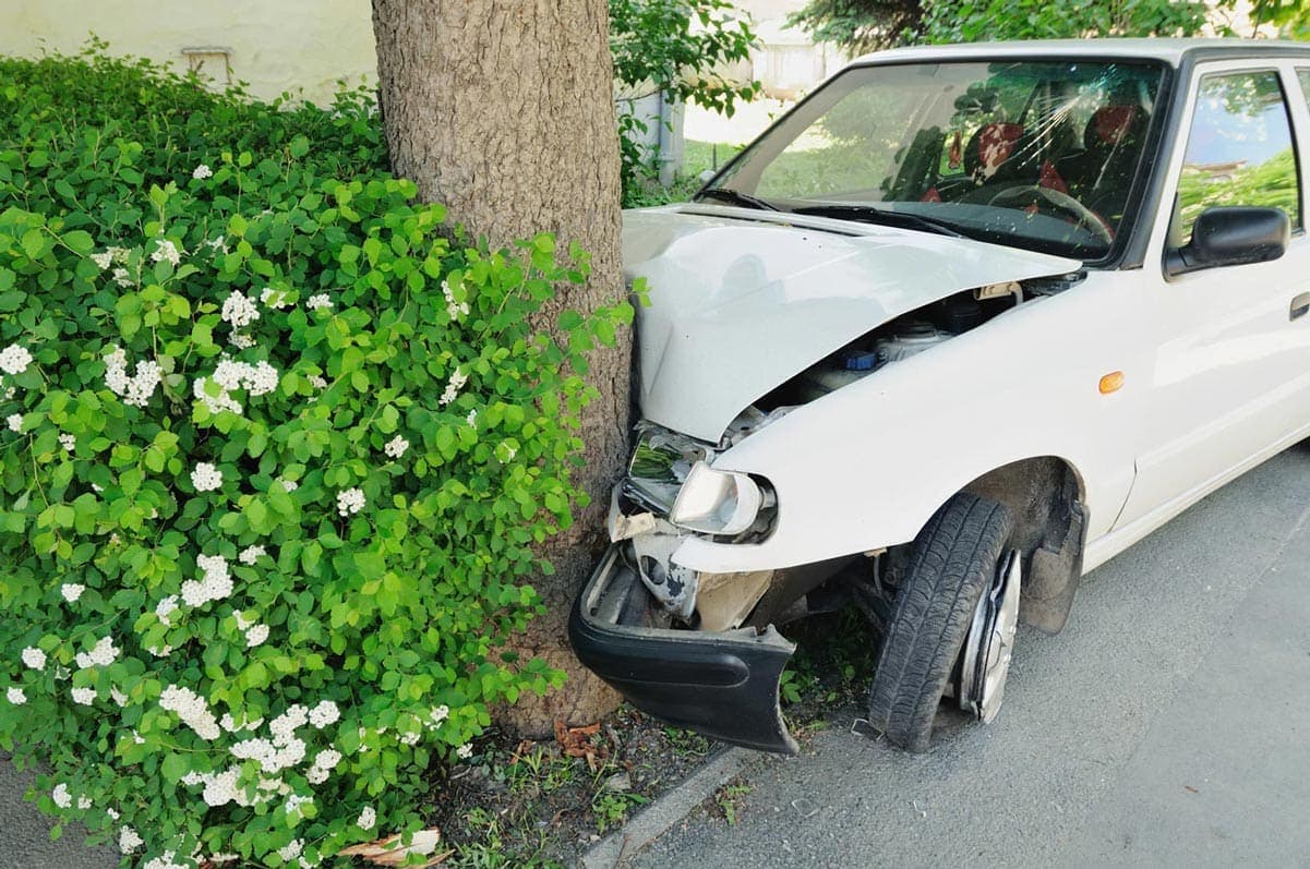 Weisses Auto fährt frontal in einem Baum