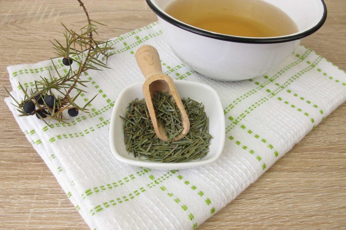 Bath additive from dried juniper leaves - Badezusatz aus Wacholdernadeln