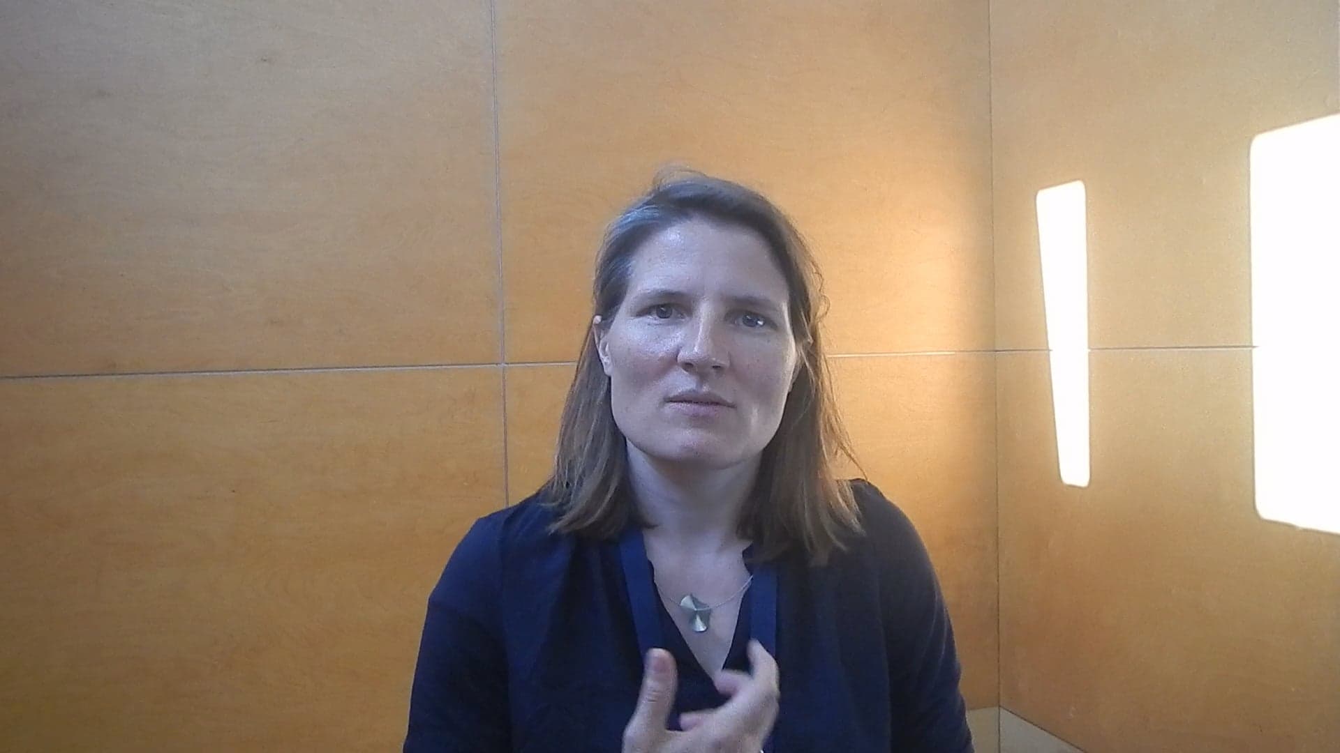 EHA 2017 &#8211; Prof. Dr. med. Julia Hauer