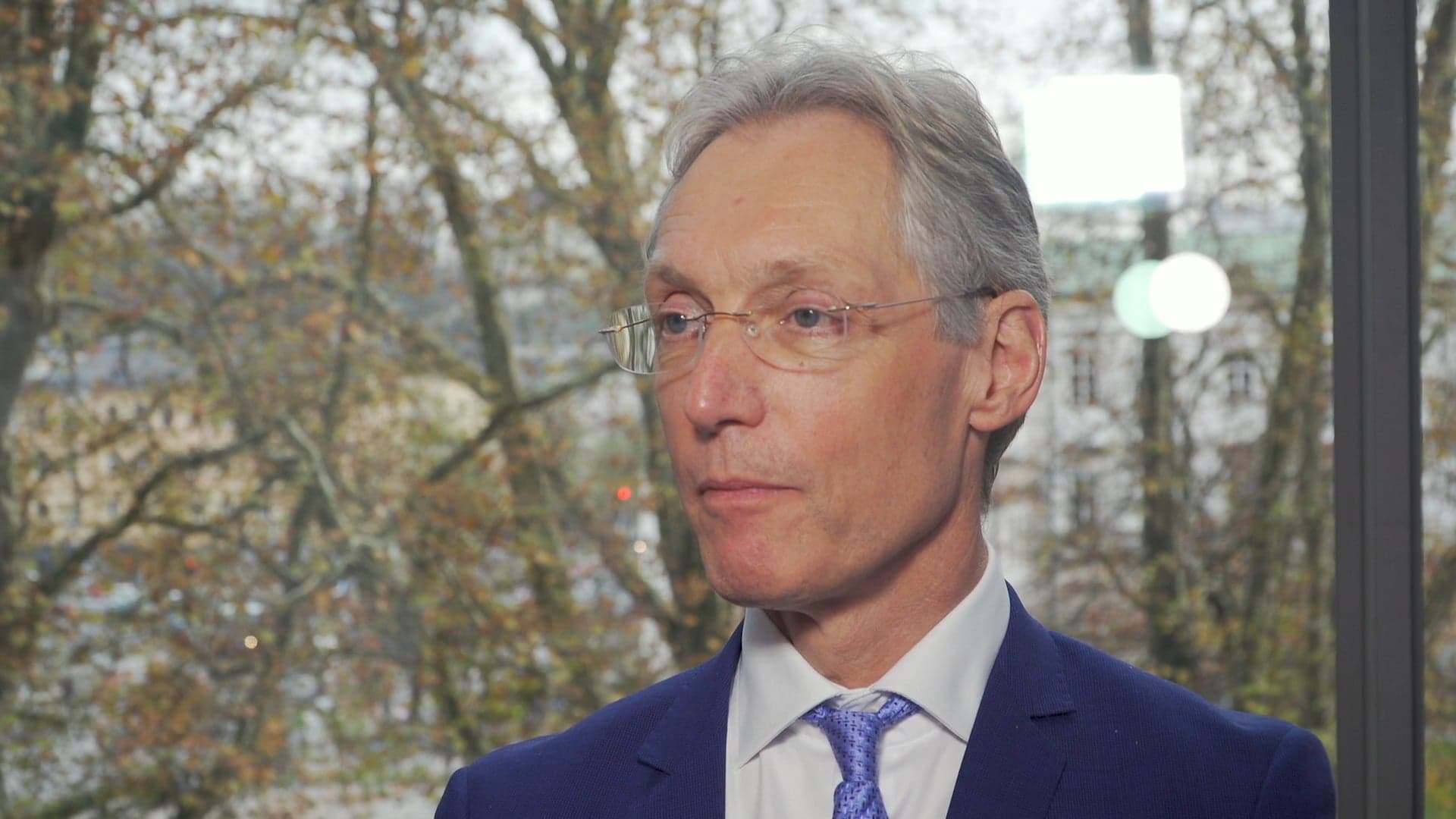 ÖDG 2017 Prof Paulweber