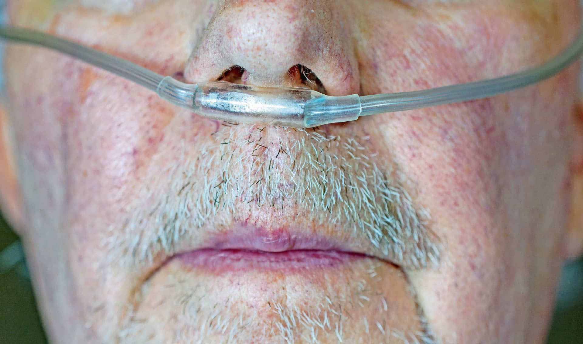 FOTO: WWING / GETTYIMAGES