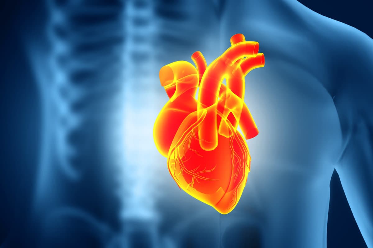 Heart attack and heart disease. 3d illustration