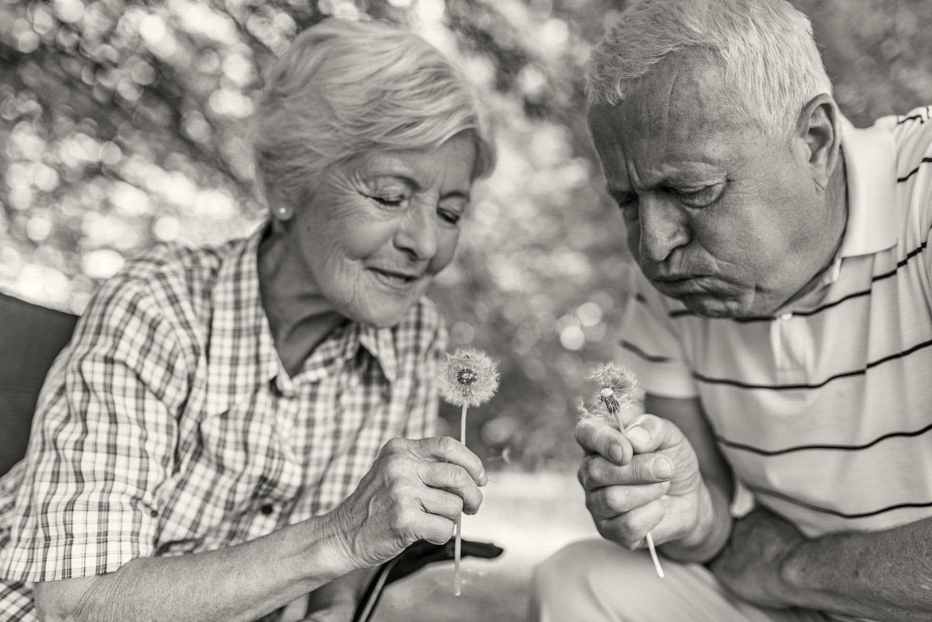 Senior couple in the park