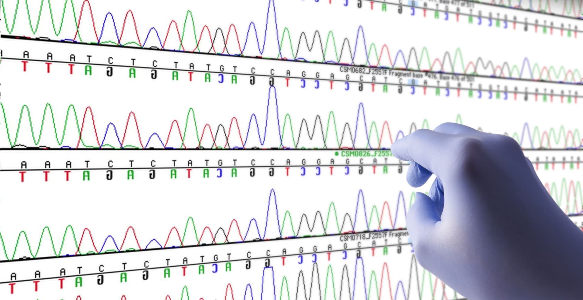 DNA code on computer screen with hand. Biology and research.