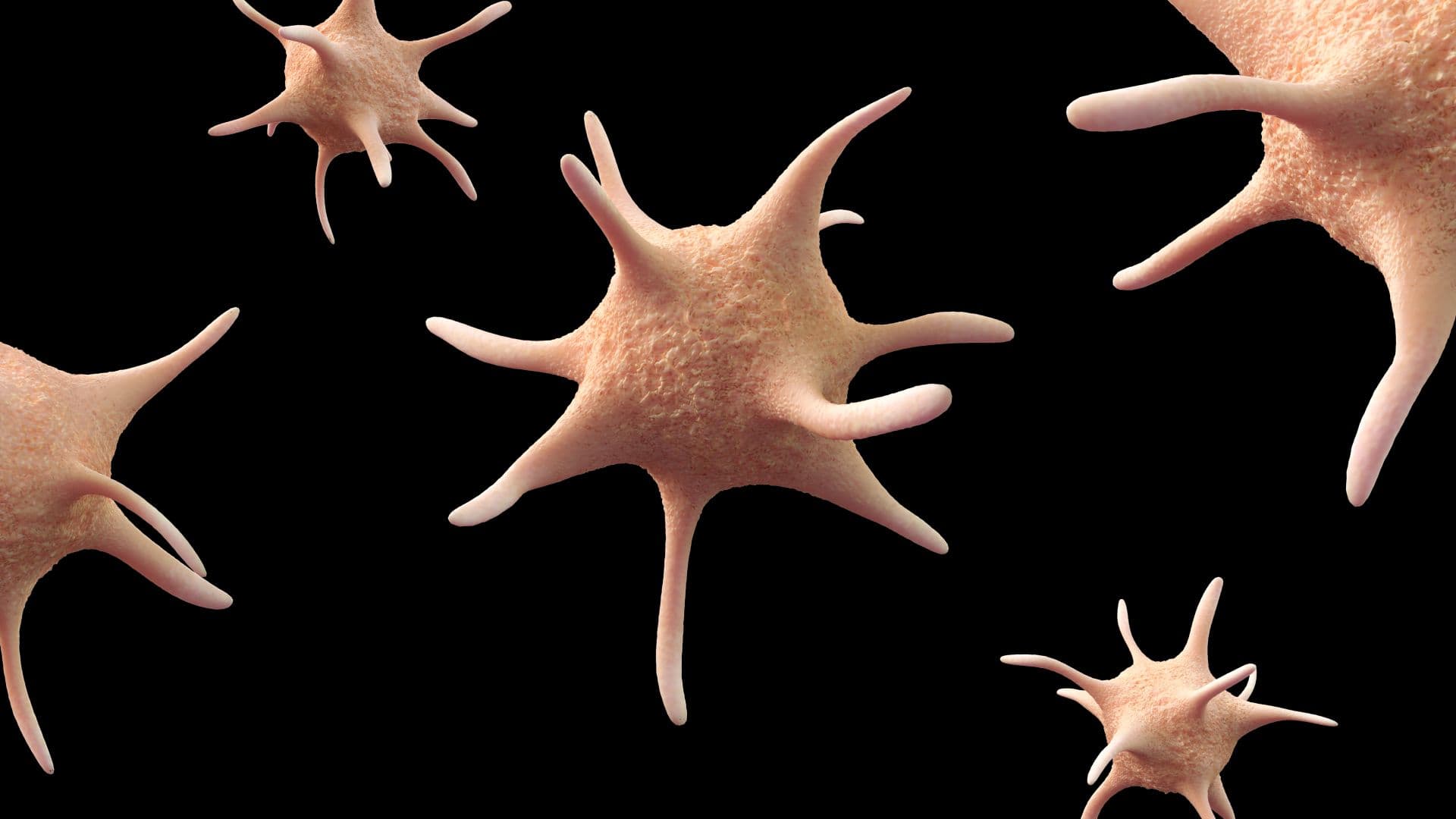 computer generated 3D illustration of blood platelet