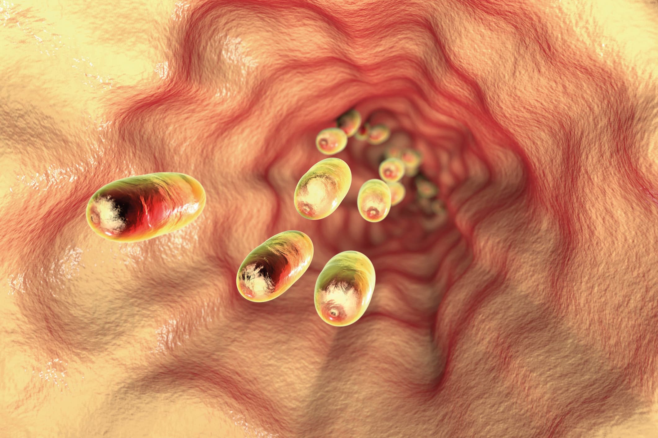 Pillen in der Speiseröhre, 3D-Darstellung. Konzeptbild für die therapeutische Wirkung von Arzneimitteln