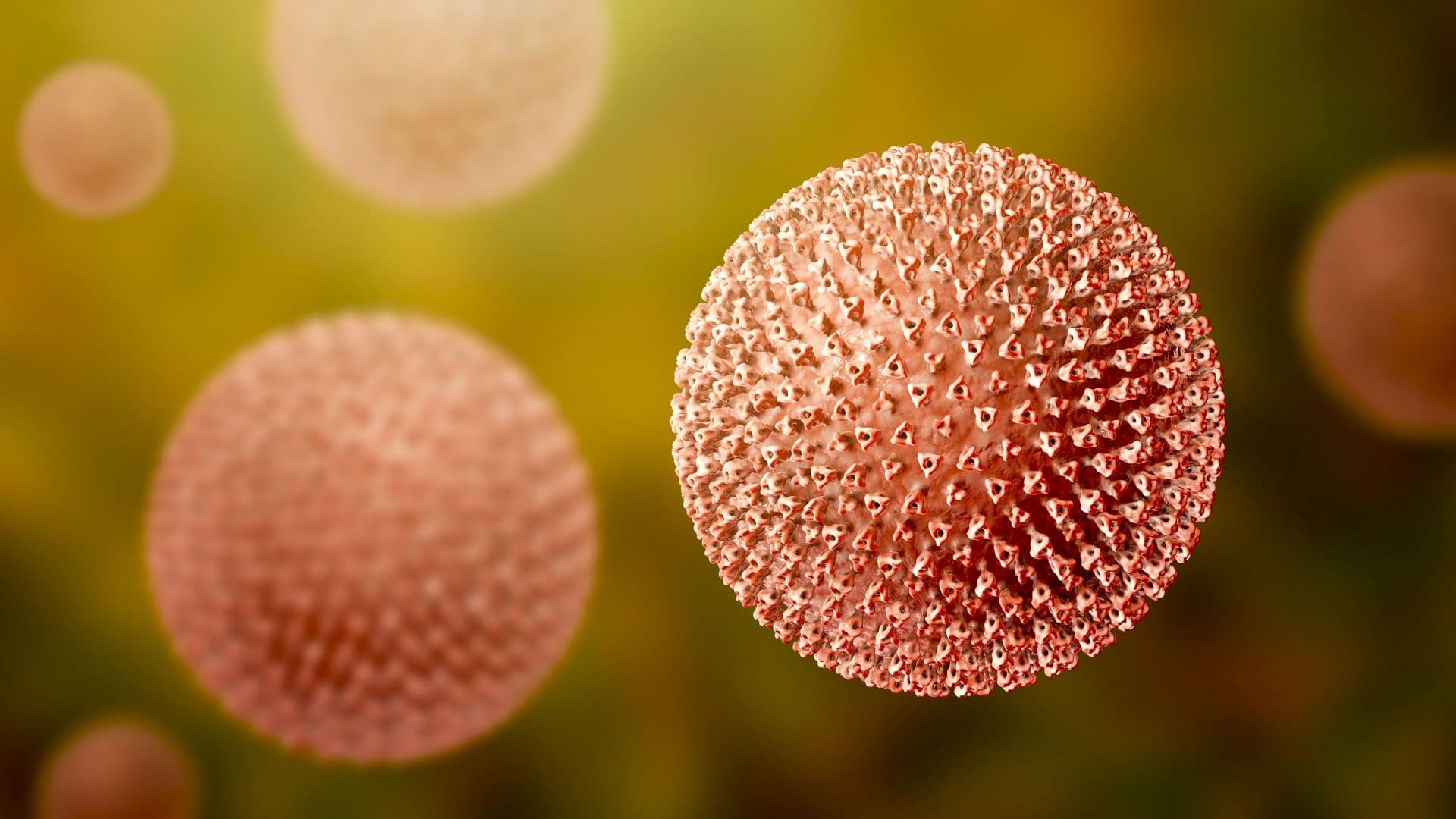 Masernviren, Abbildung zeigt die Struktur des Masernvirus mit Oberflächenglykoproteinspitzen