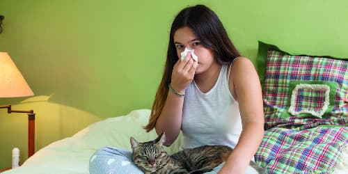 Allergie_Katze_iStock_Maica