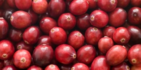 Fresh cranberries