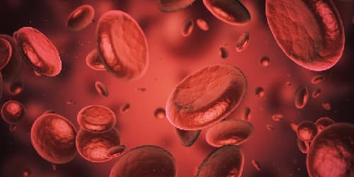 Erythrozyten_iStock_spawns