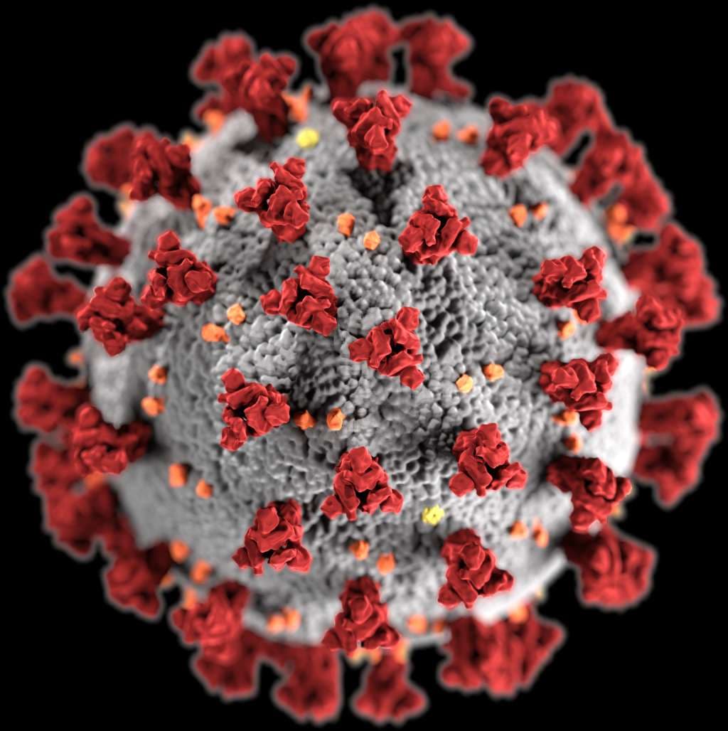 1024px-SARS-CoV-2_without_background