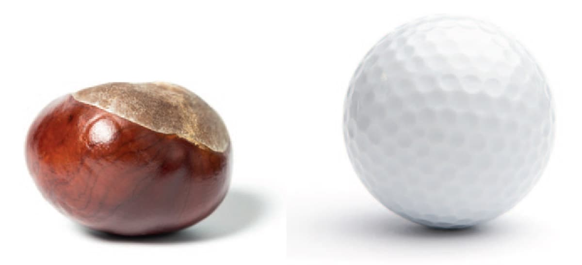 Tischtennisball; Kastanie