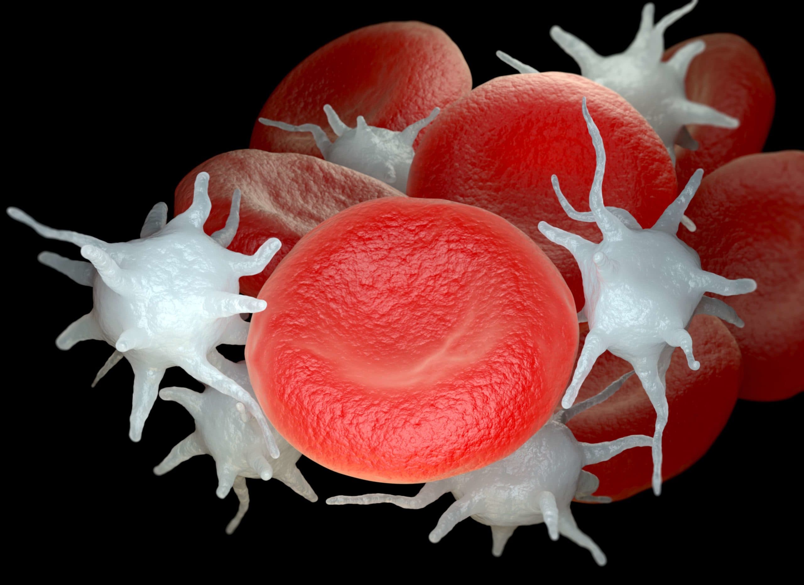 Rote Blutkörperchen und aktivierte Blutplättchen oder Thrombozyten. 3D-Illustration