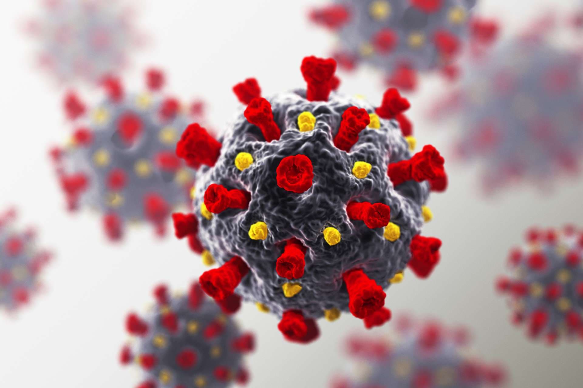 Coronavirus. COVID-19. 3D-Rendering