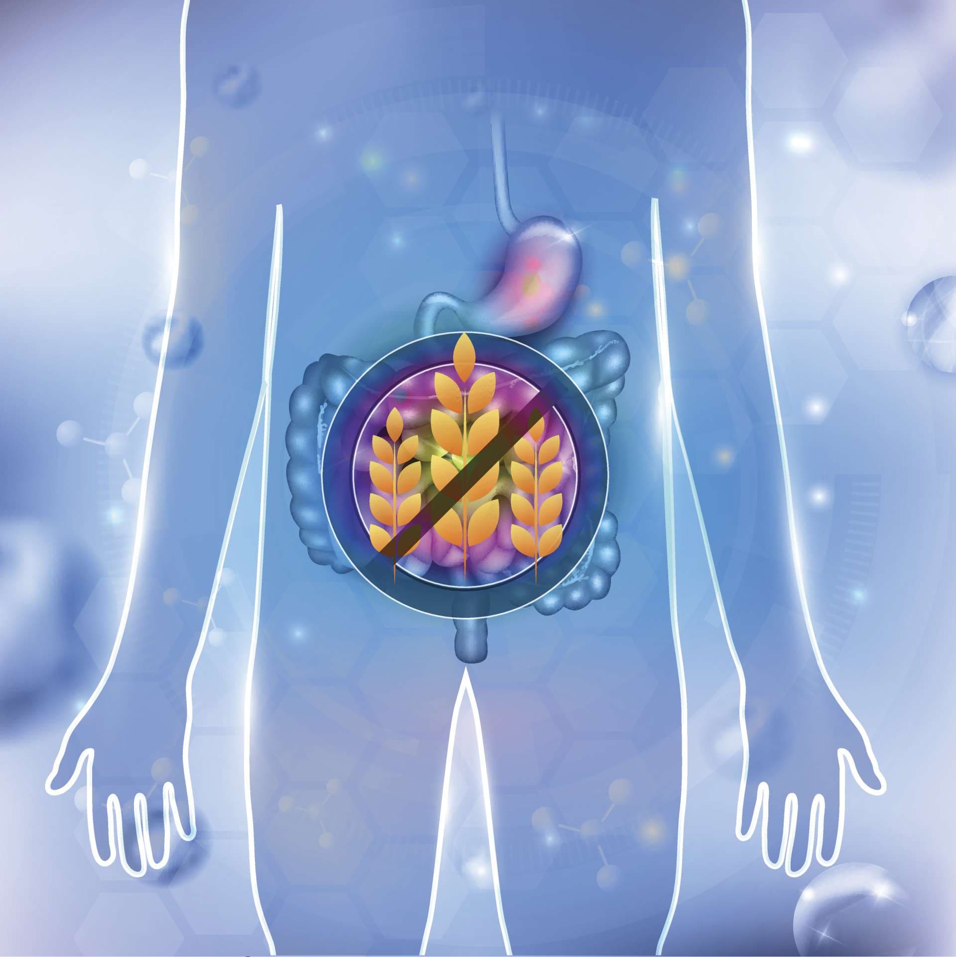 Abstraktes Design der glutenfreien Diät, Anatomie des Magen-Darm-Trakts auf abstraktem Hintergrund