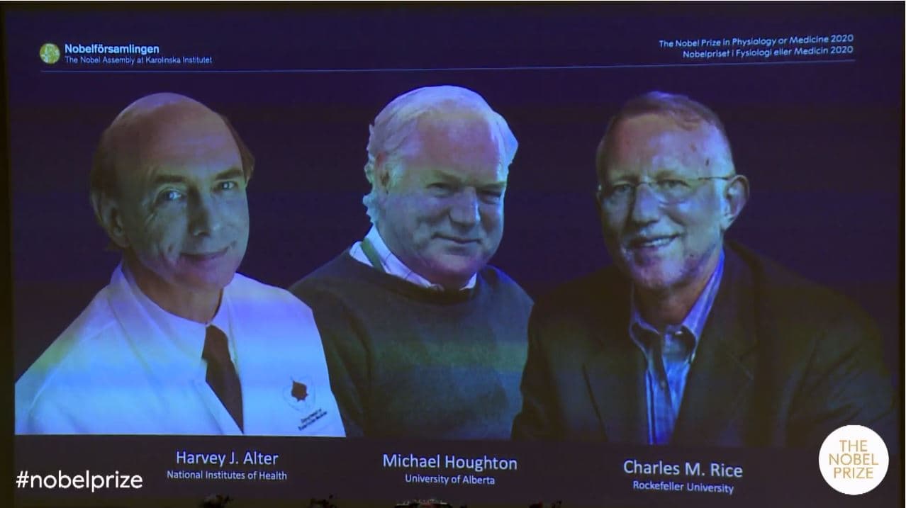 Bild der drei Nobelpreisgewinner 2020. Von links nach rechts: Harvey J. Alter, Michael Houghton und Charles M. Rice.