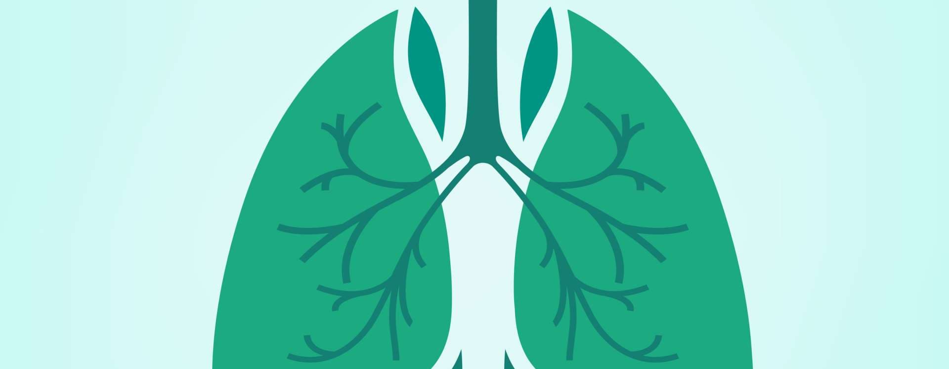 Beautiful vector illustration of medical lungs icon. Editable abstract image in light green and emerald colors useful for a poster, icon, logo, placard, sign, label and web banner creative design.