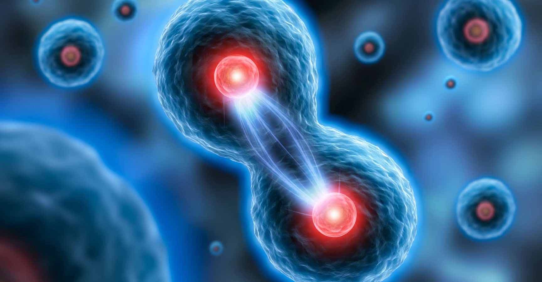 Medical 3D illustration of reproducing and dividing cells with a cell background