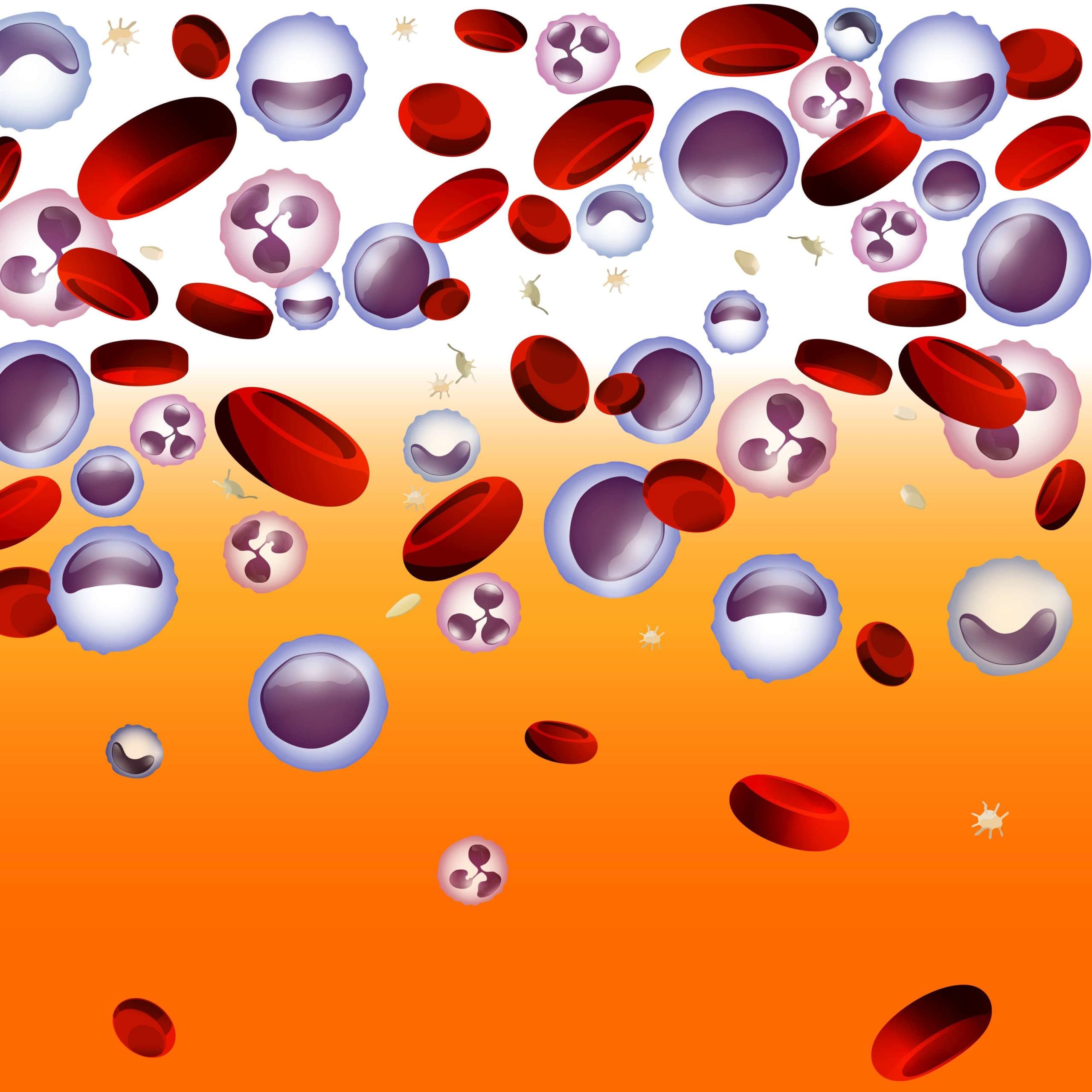 Leukemia background in bright colors. White and red blood cells in realistic style. Leukaemia disease awareness. Editable vector illustration. Medical, scientific and healthcare concept.