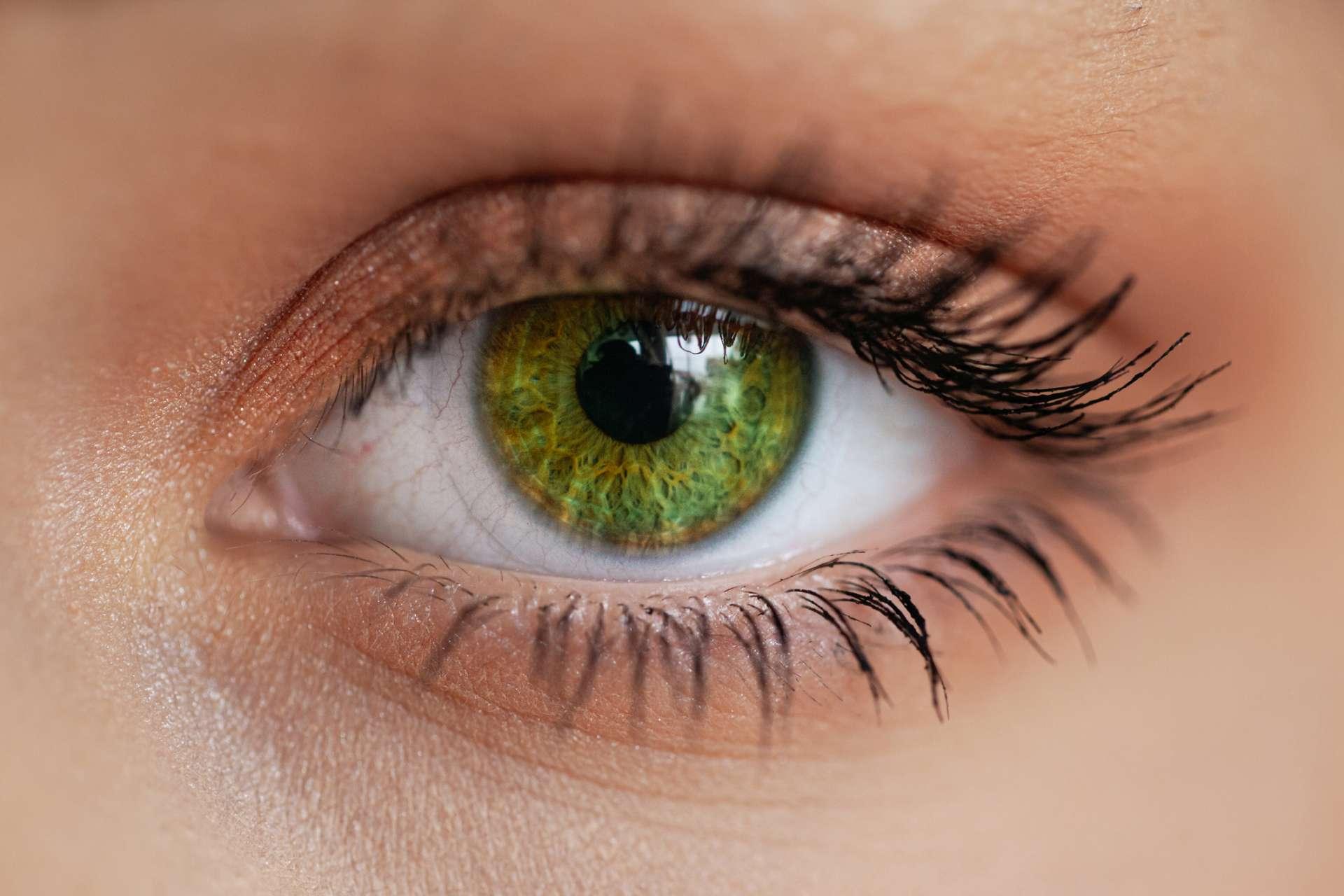 Close-up eines grünen Auges mit dezentem Makeup.