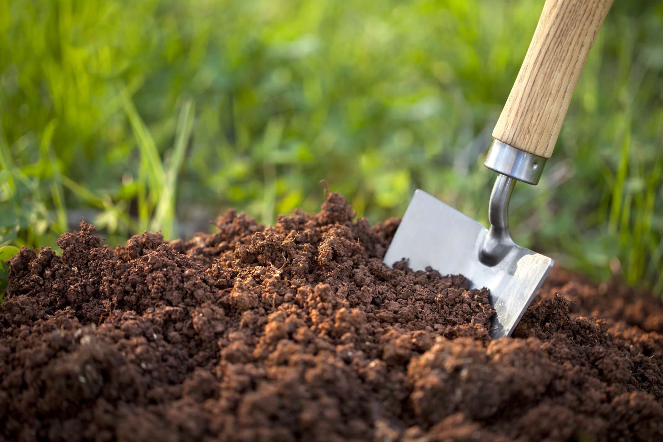 Gartenkelle im Bodenhumus.