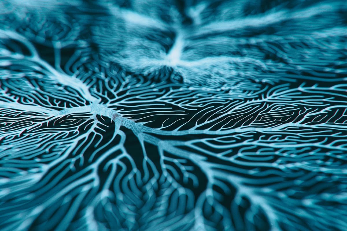 Neuronensystem