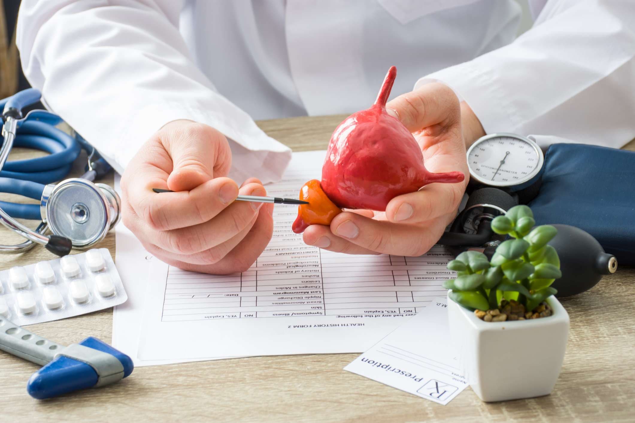 Beim Arzttermin zeigt der Arzt dem Patienten die Form der Prostata mit Fokus auf der Hand mit dem Organ. Szene, die Patientenursachen und Lokalisation von Prostataerkrankungen, Problemen und Anzeichen erklärt