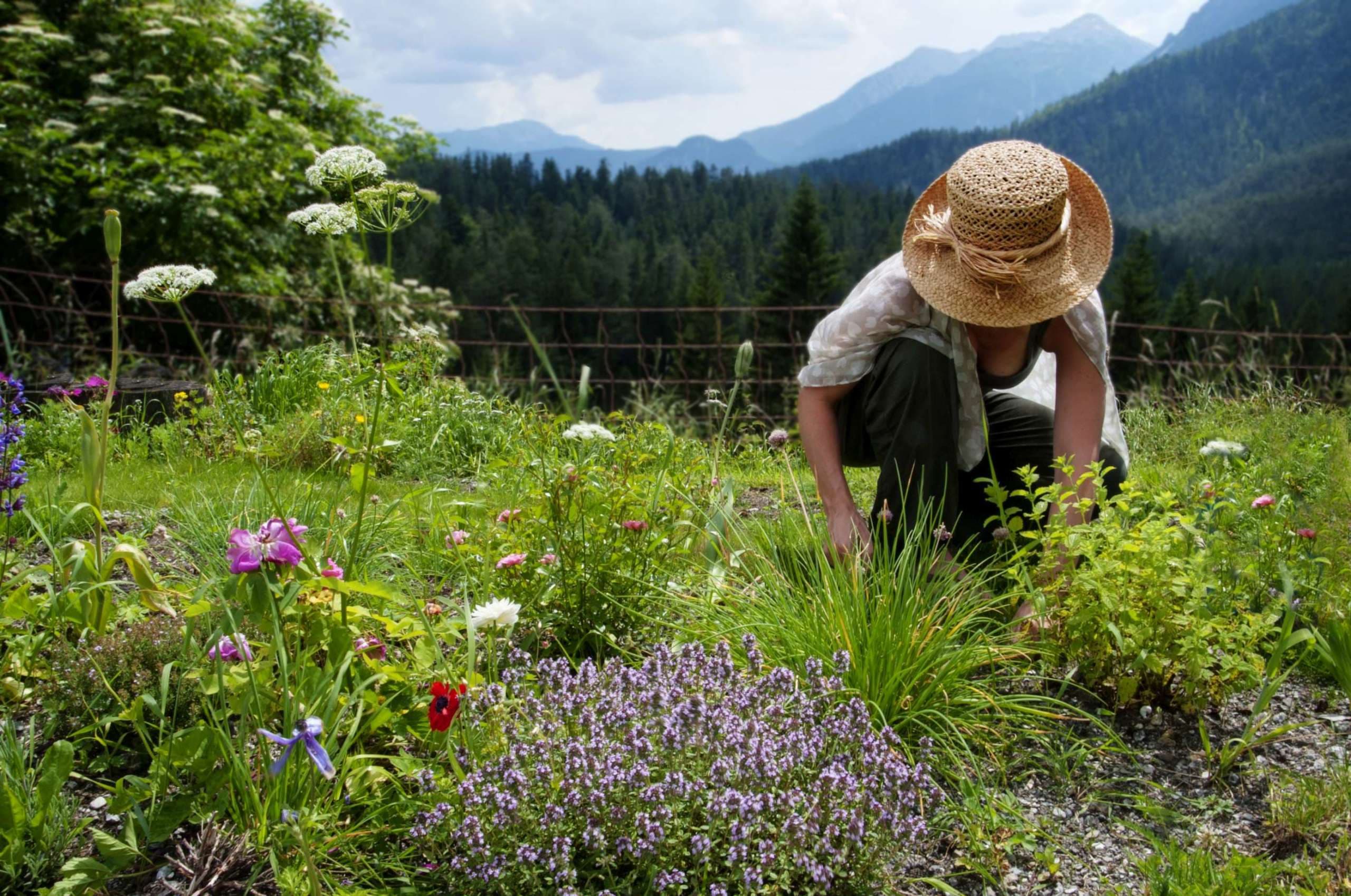 Frau, die im Garten arbeitet
