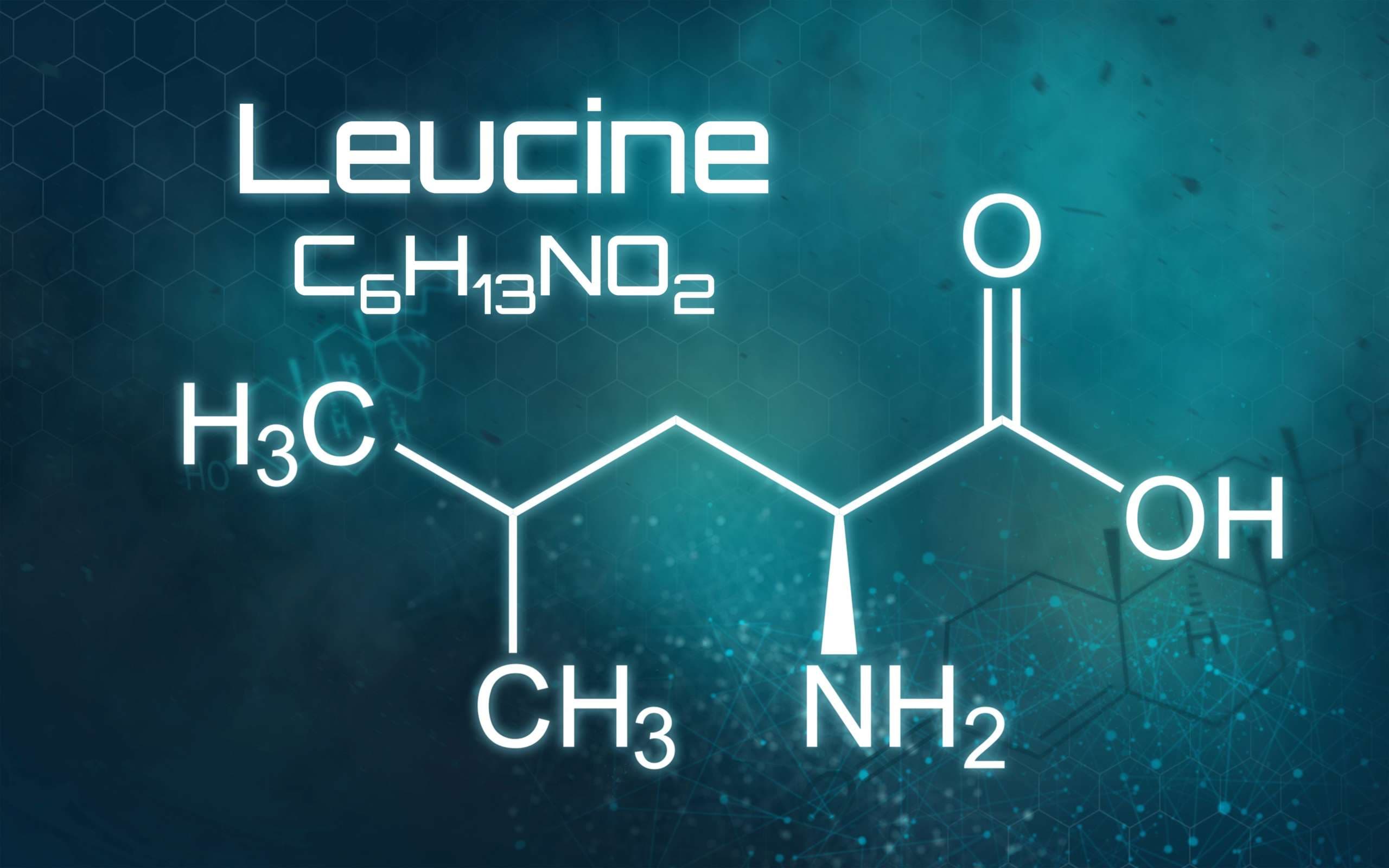 Chemische Formel von Leucin auf futuristischem Hintergrund