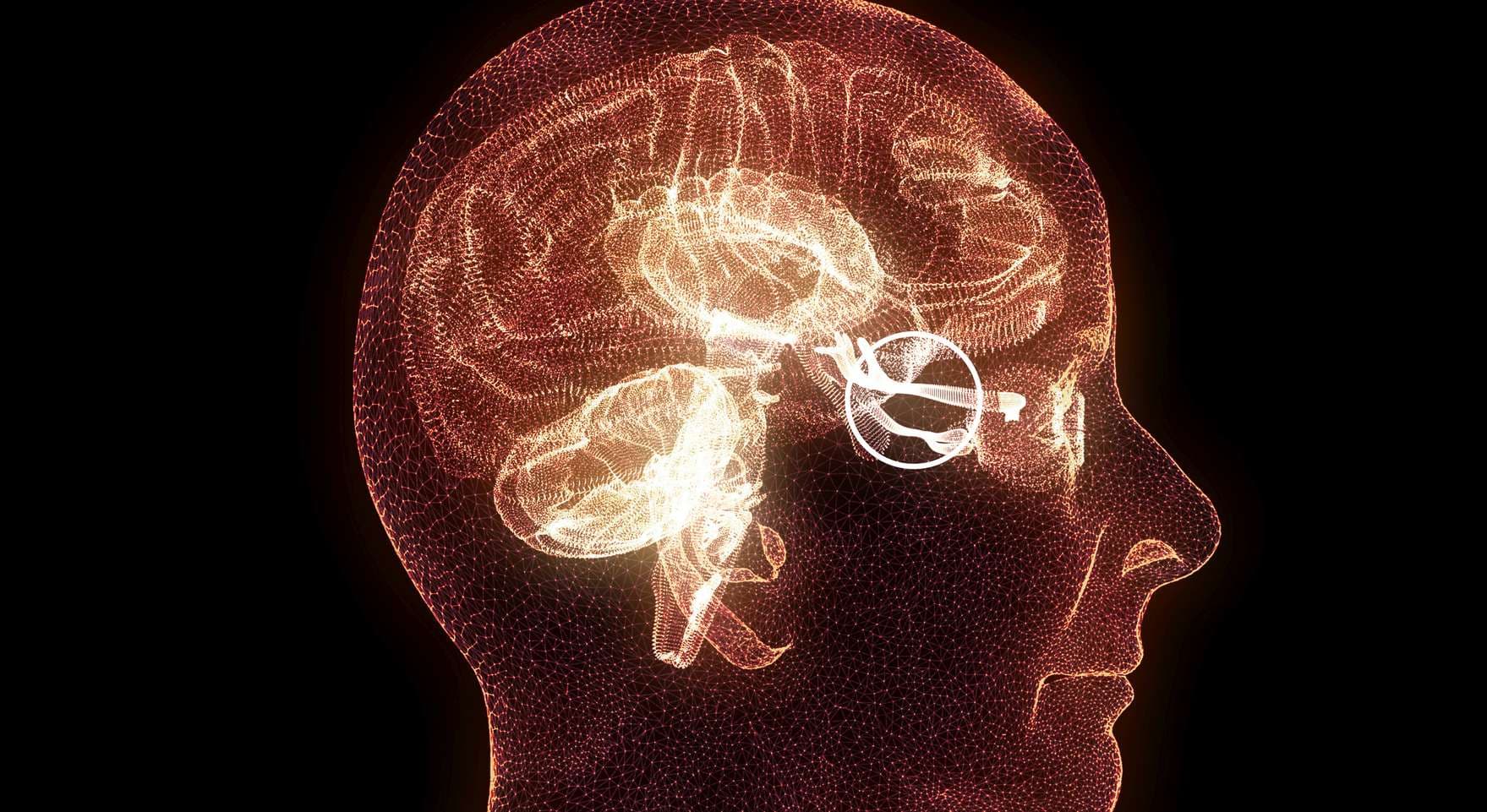 Sehnerv, Abschnitt des Gehirns von der Seite gesehen. Nervenverletzung. Schlechte Augensicht. Optikusneuritis. Entzündung. Ältere Frau, Seitenansicht
