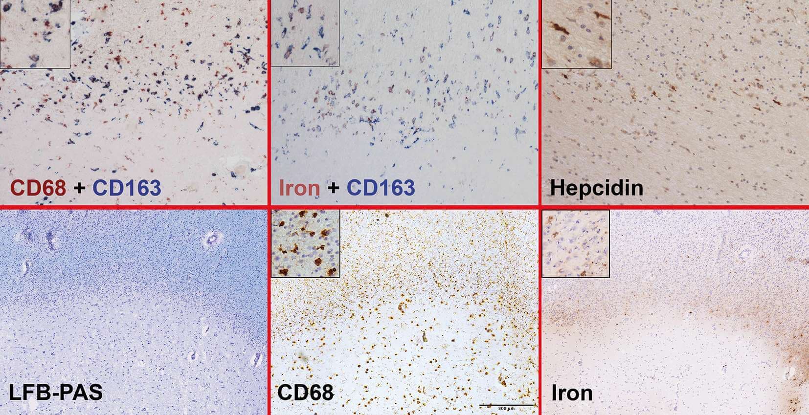 MO_AT_2023_KW17_ccnNL_Figure Clinicum