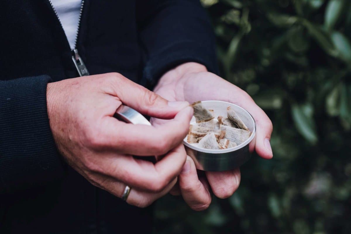 Hands holding a box of snuff, snus. Picking up a portion of nicotin pad.