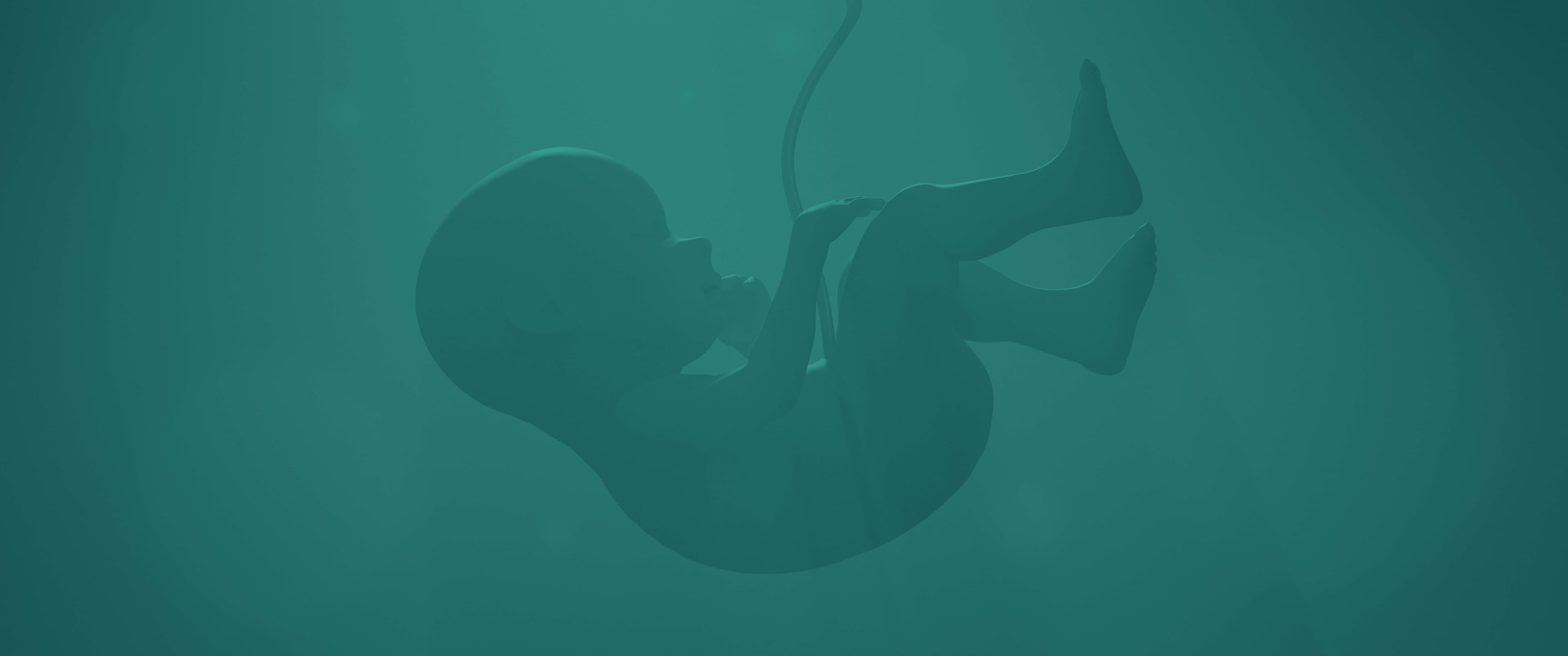 The maturation of the young human body. The theme of new life and the continuation of the human race