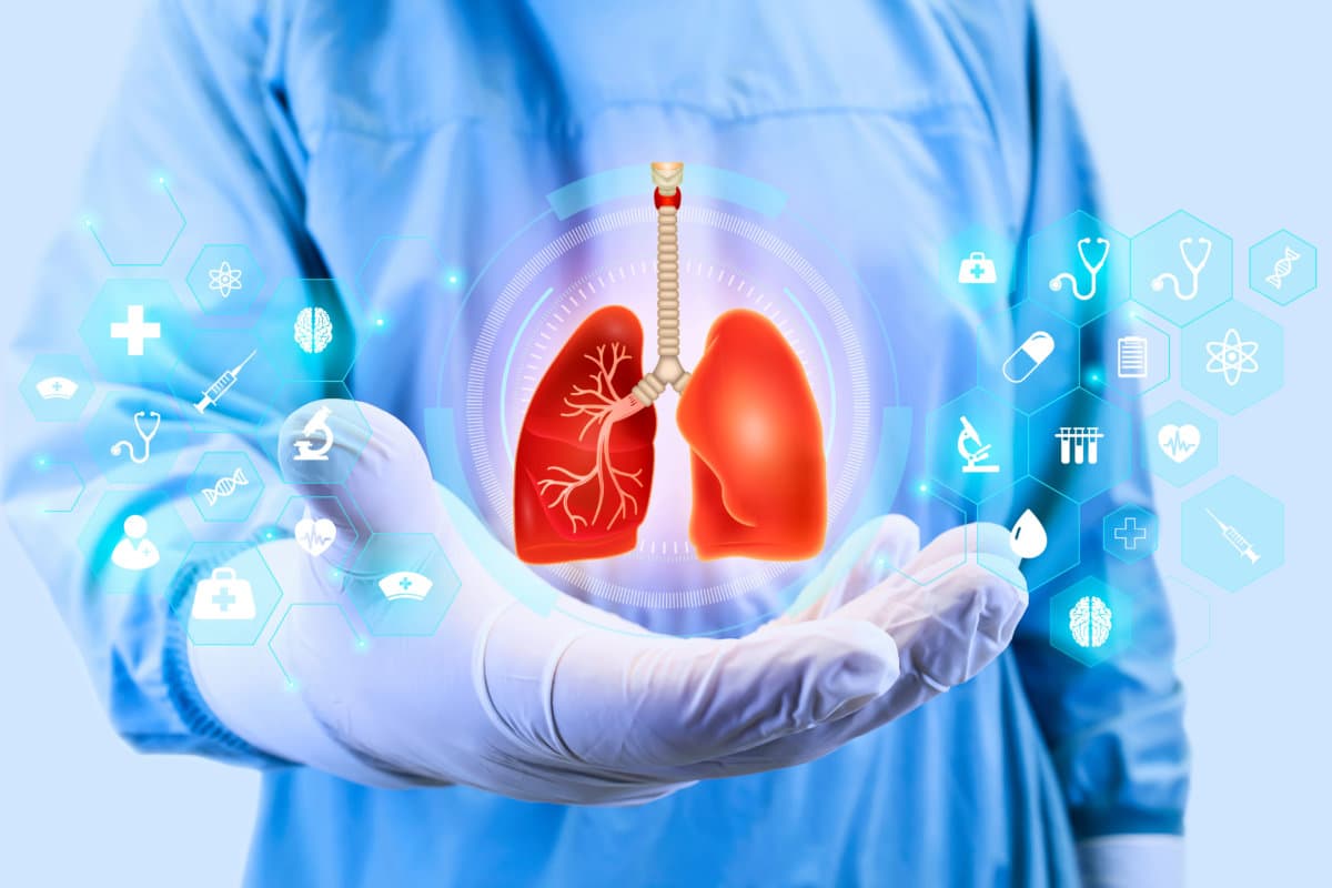 Lungs. Lung problems, tuberculosis, lung cancer. Digital and mod