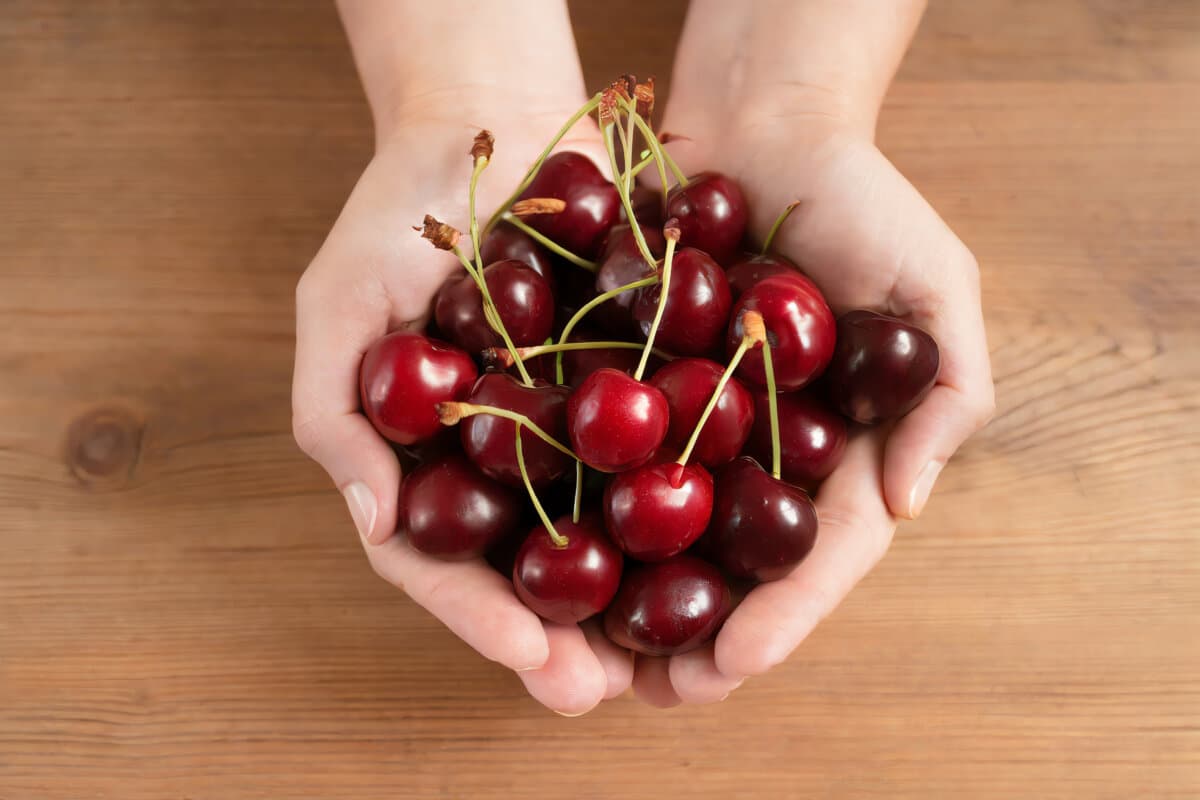 A person holding a bunch of cherries in their hands on a wooden table