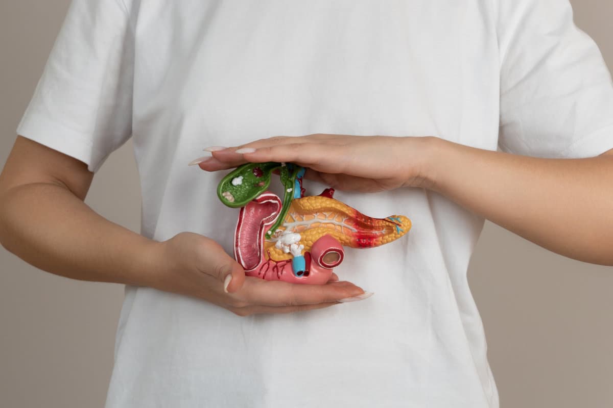 woman holding pancreas in the hands. Help and care concept