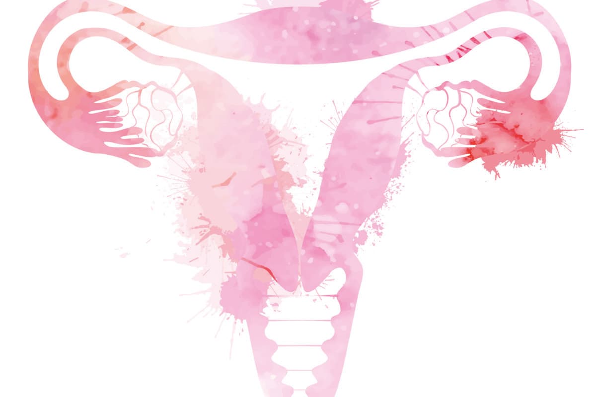 Pink silhouette anatomical uterus with watercolor splashes. Healthy female body. Woman power. Uterus with tube and ovaries. Vector illustration