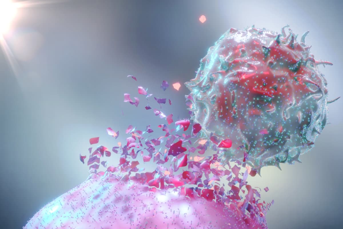 3D Rendering of Natural Killer NK Cell Destroying Cancer Cell