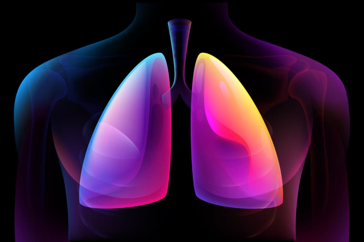 Human Respiratory System Lungs Anatomy. Man silhouette healthy lungs medicine model. Abstract digital blue purple medical illustration isolated on black background. Human Skeleton System Anatomy X-ray