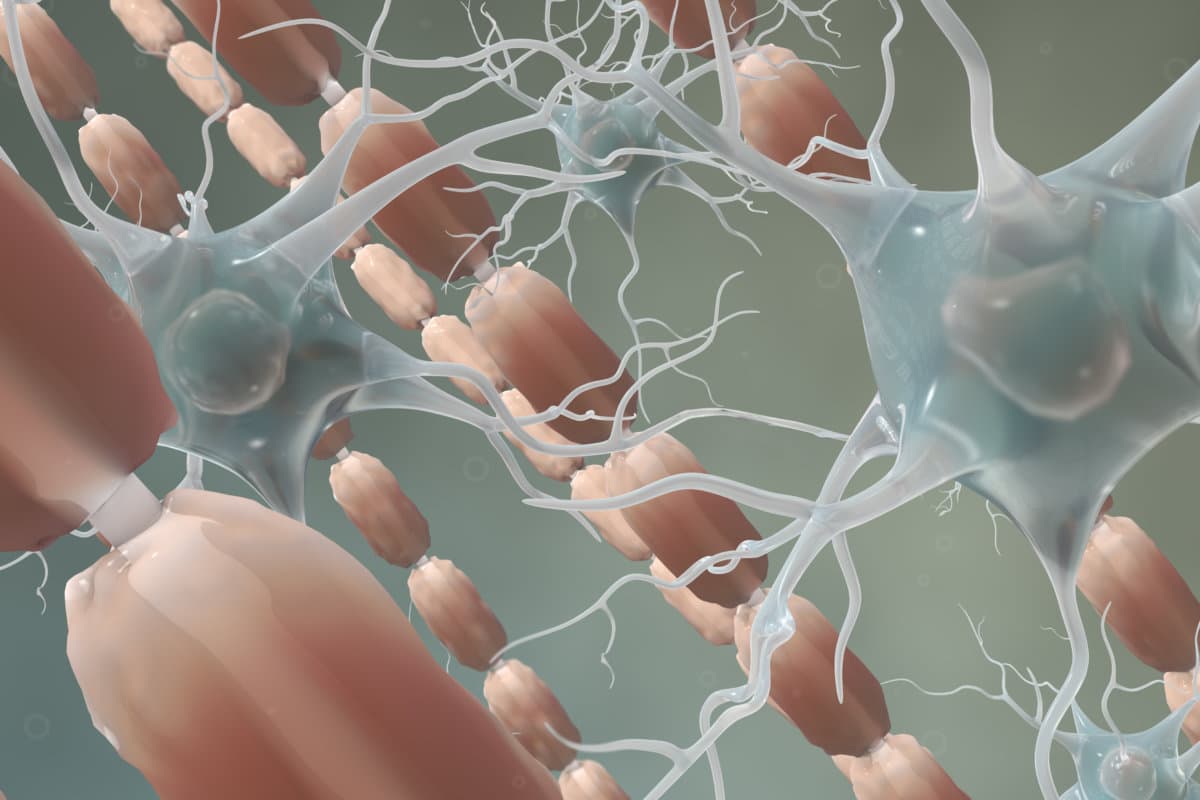 myelin sheath with nerve cells and microglials