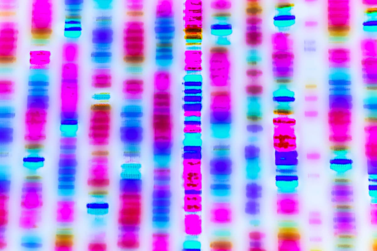 DNA sequence