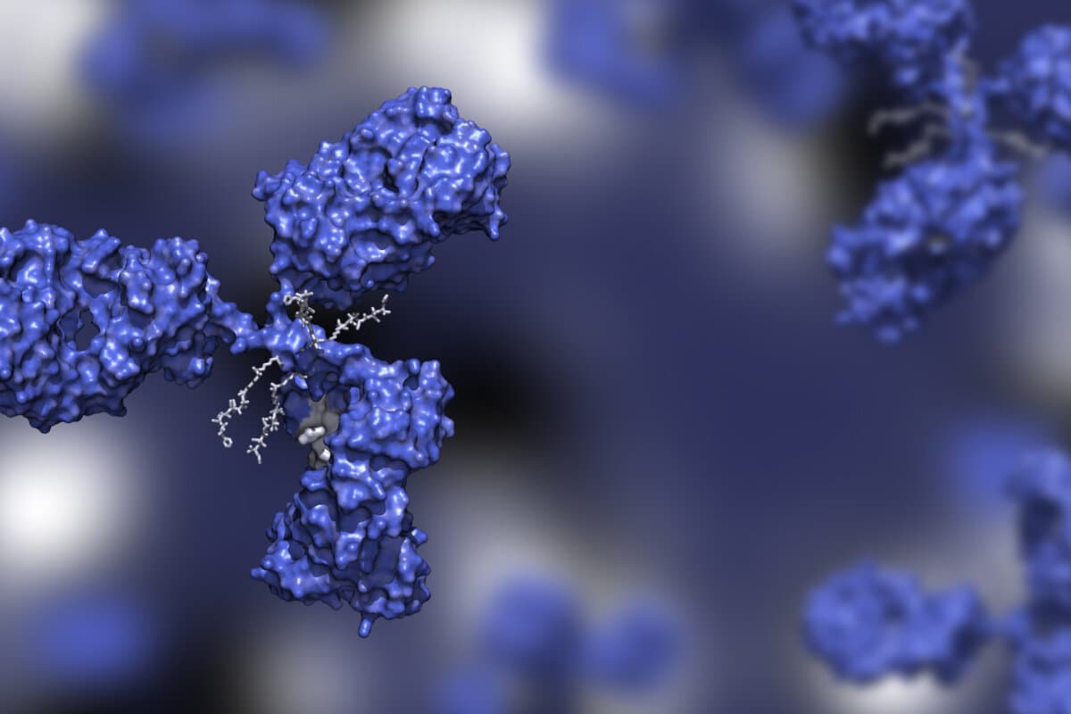 Antibody drug conjugate in blue with four drug compounds linked to IgG immunoglobulin; ADC in blue against blue background 3d render