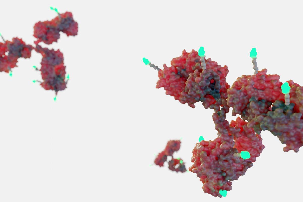 3d rendering of Antibody drug conjugates (ADCs) are targeted medicines that deliver chemotherapy agents to cancer cells