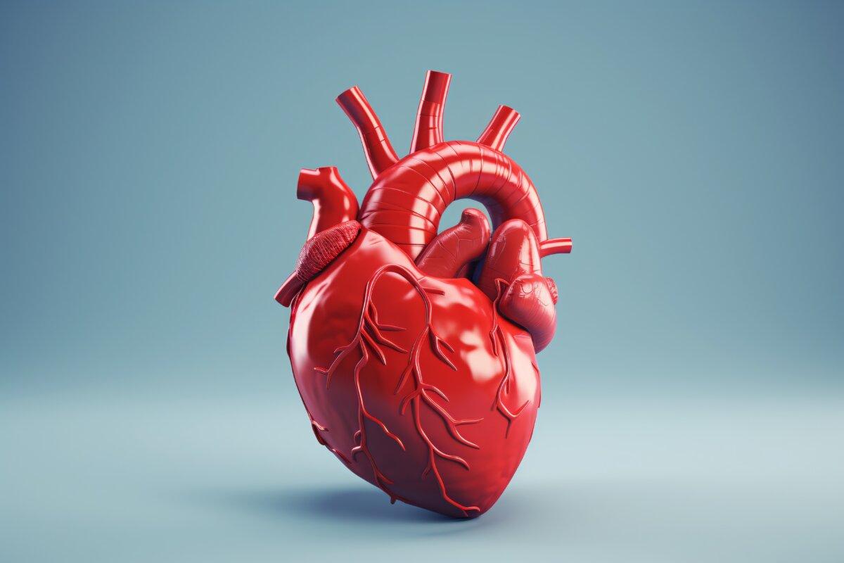 3D-Herzmodell mit Blutgefäßen Generative KI