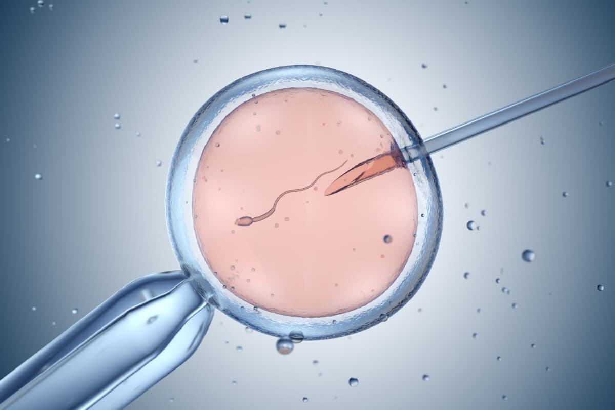 Künstliche Befruchtung oder In-vitro-Fertilisation. 3D-Darstellung