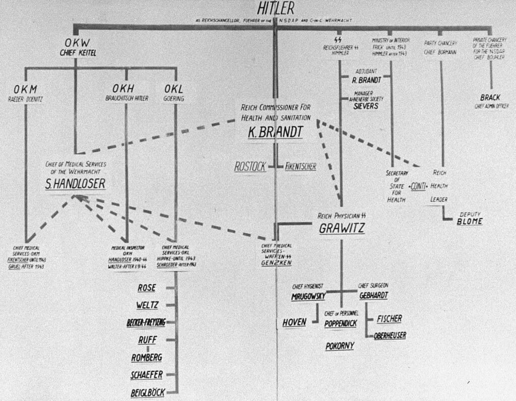 Eine schematische Darstellung der "medizinischen Befehlskette" im nationalsozialistischen Deutschland, welche als Beweisstück für den Nürnberger Ärzteprozess angefertigt wurde.
