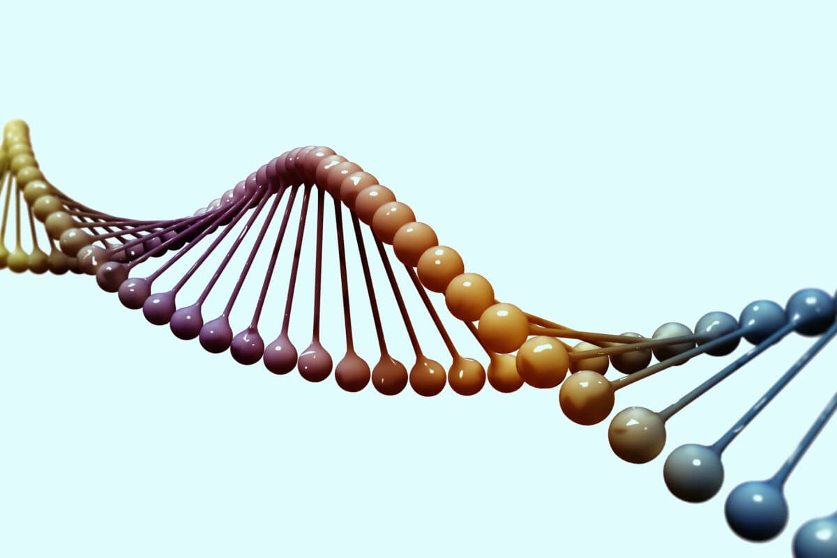 Multi color dna model isolated on white background