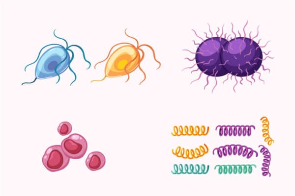 Illustrationen sexuell übertragbarer Infektionskrankheiten.