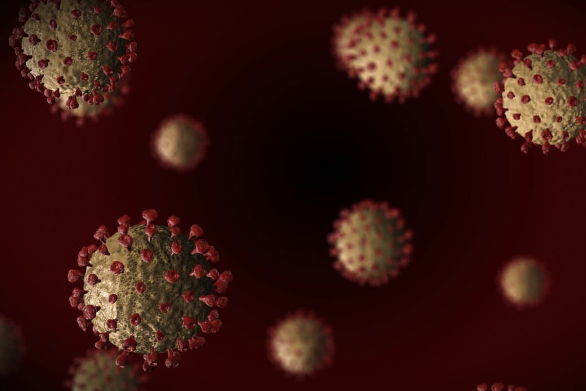 Das Coronavirus SARS CoV 2 - Visualisierung der Covid-19-Krankheit